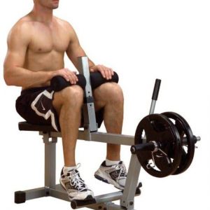 Seated Calf Machine