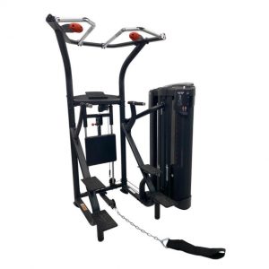 DUAL Station Chin Up