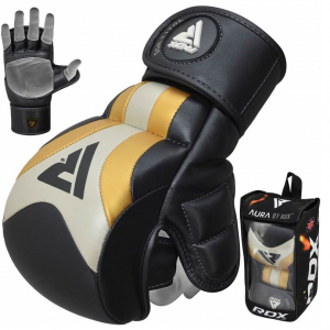 Sparringhandschoenen SHOOTER AURA T-17 Goud